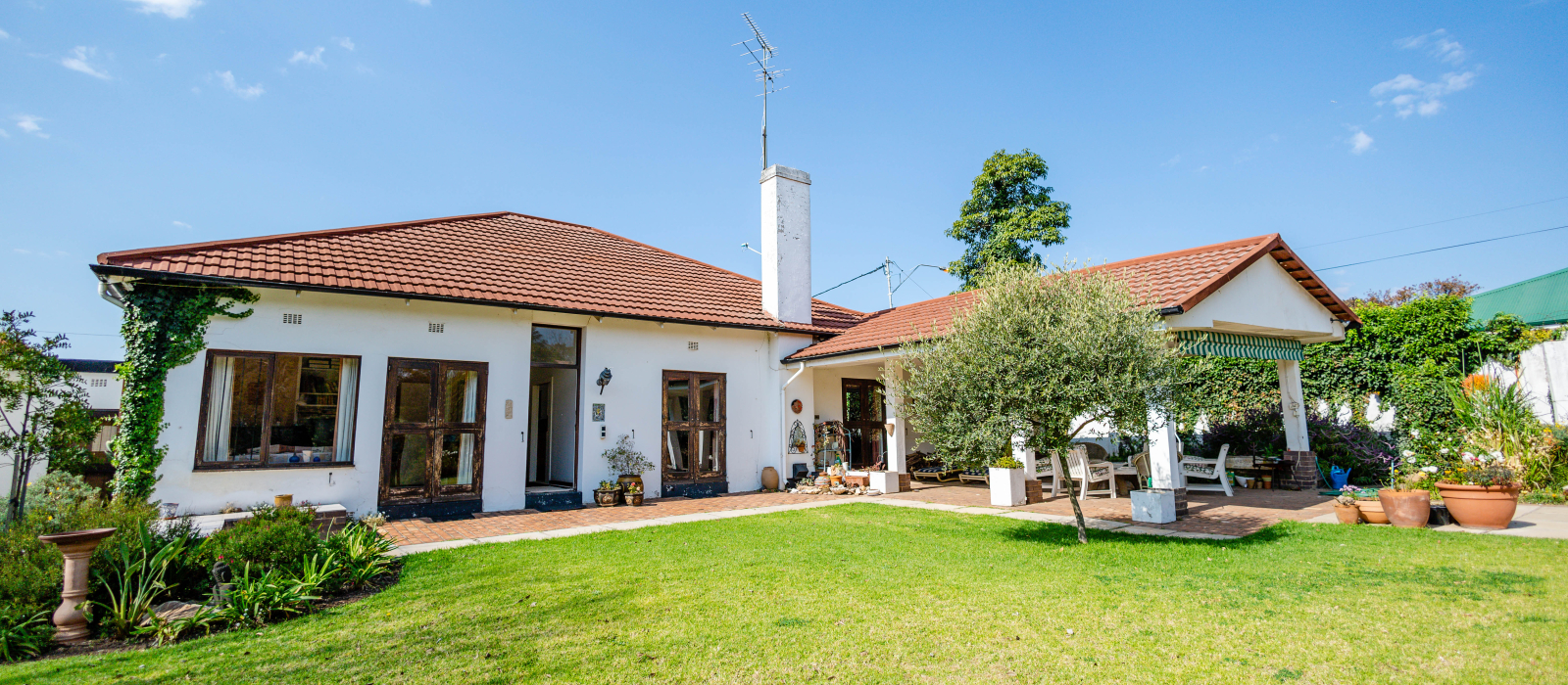 Orange grove-16