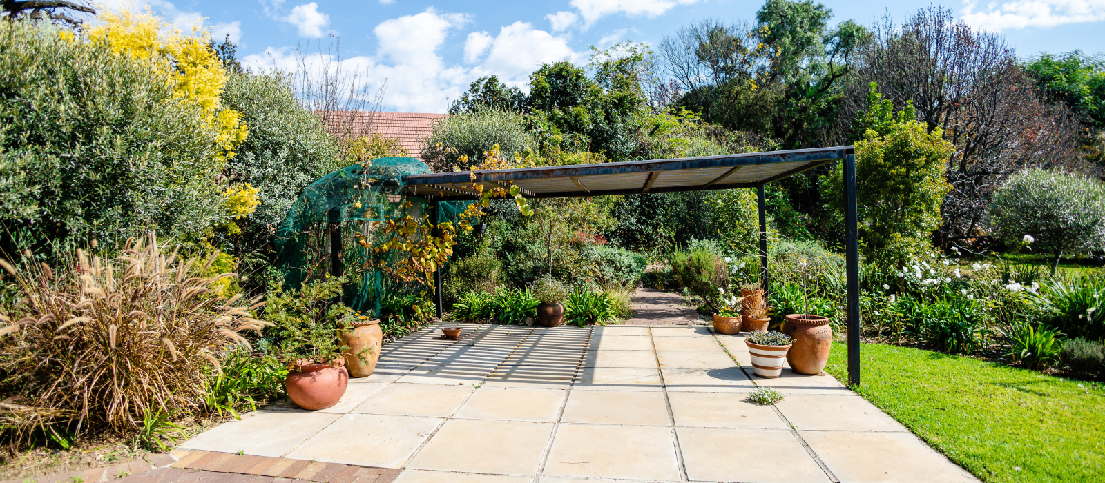 Orange grove-1