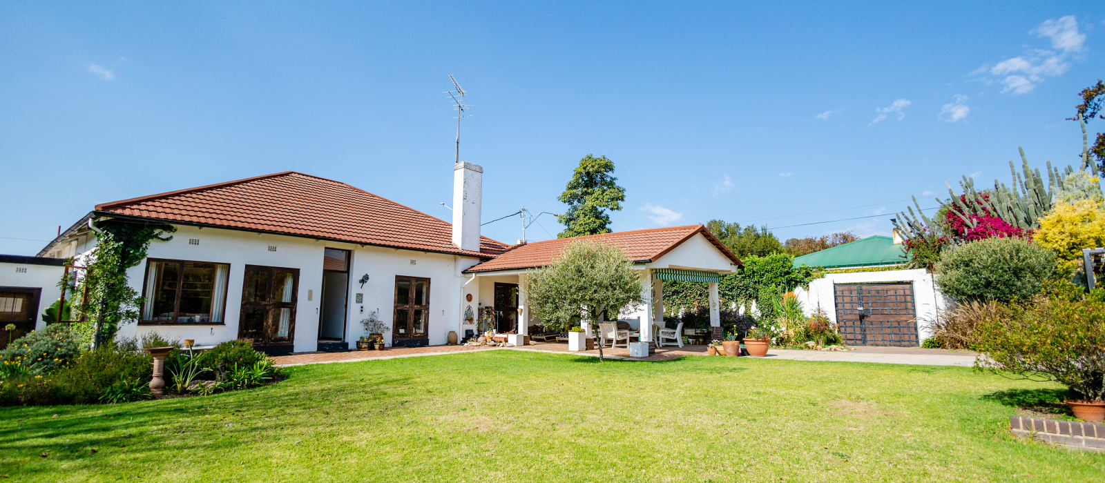 Orange grove-6